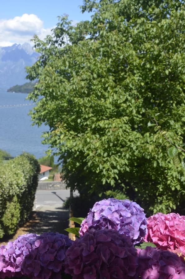 Anma Cottages The Secret Garden Pianello Del Lario Exterior foto
